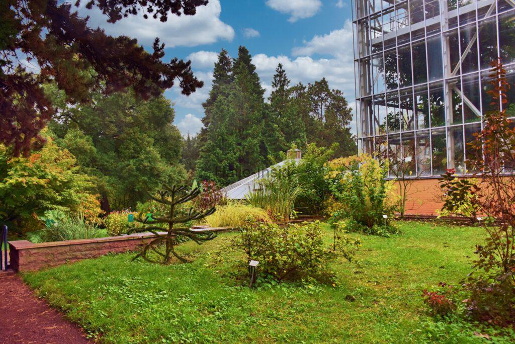 Botanischer Garten