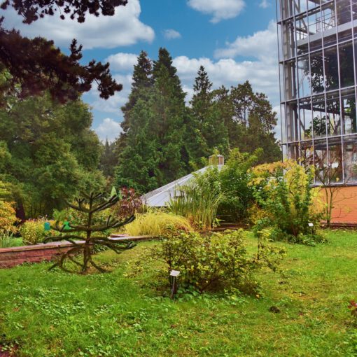 Botanischer Garten